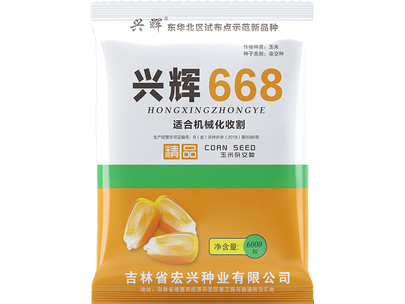 兴辉668