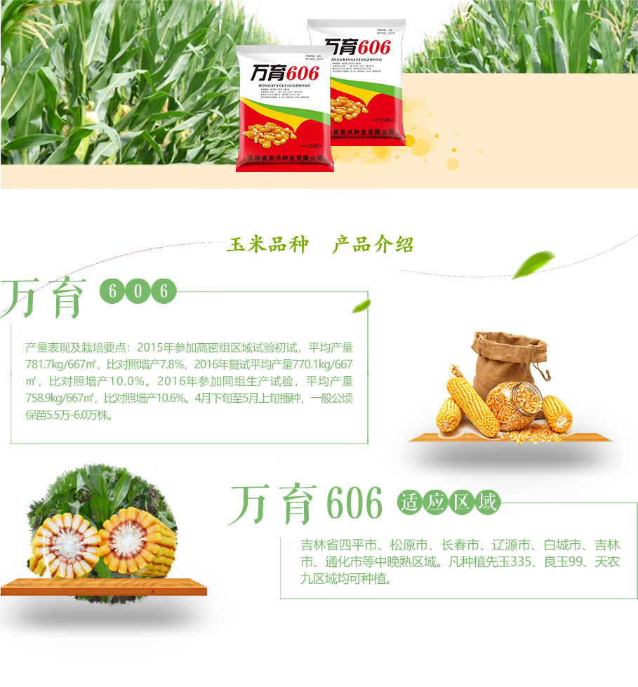 万育606_03.jpg