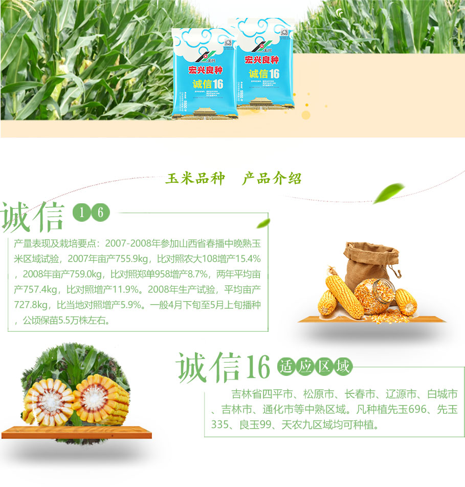 诚信16.jpg