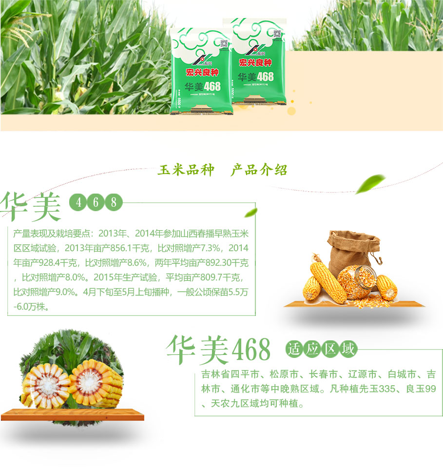 1571471850744005.jpg 宏兴华美468.jpg