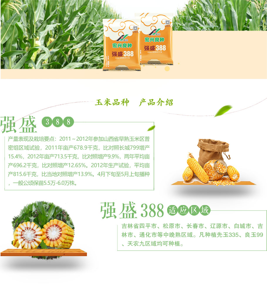 1571471954993208.jpg 宏兴强盛388.jpg