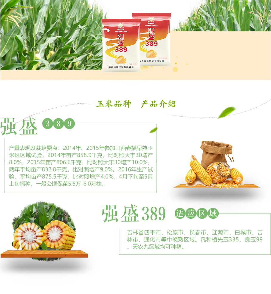 1571472039699385.jpg 强盛389_03.jpg