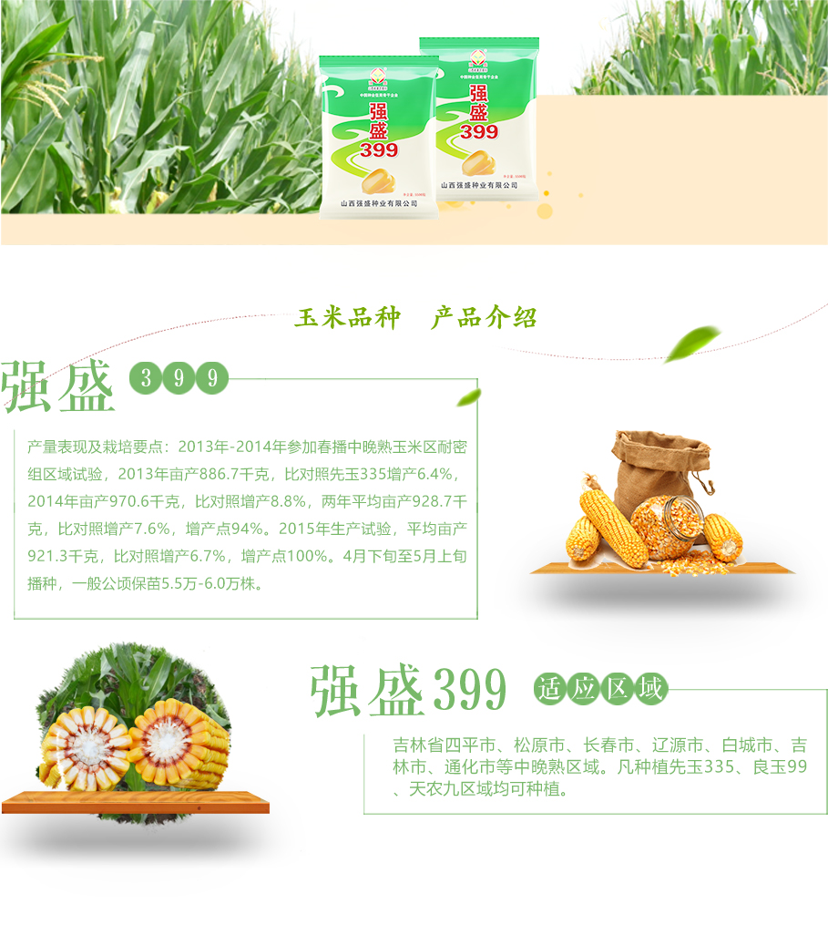 强盛399_03.jpg