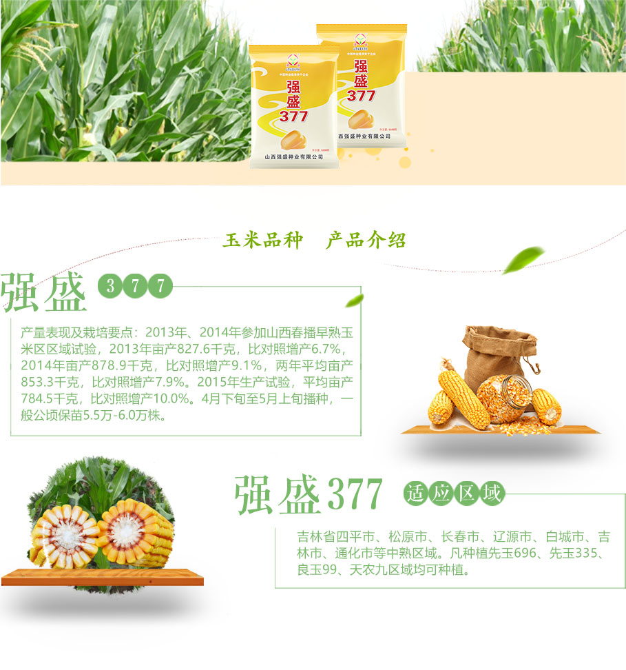 强盛377_03.jpg