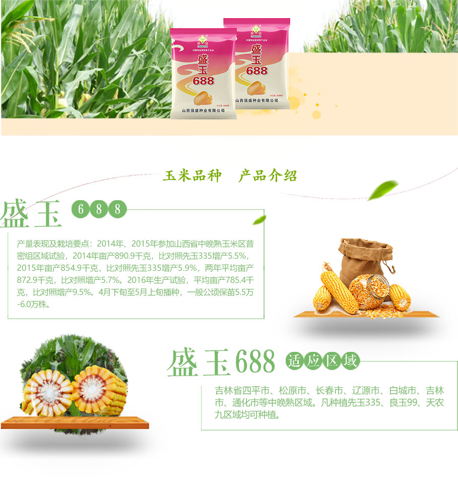 1571472309453455.jpg 盛玉688_03.jpg