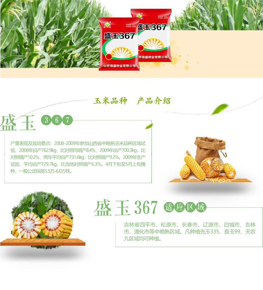 盛玉367_03.jpg