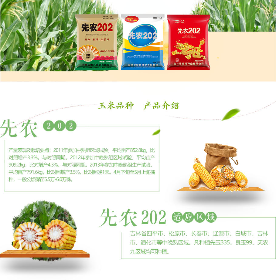先农202_03.png