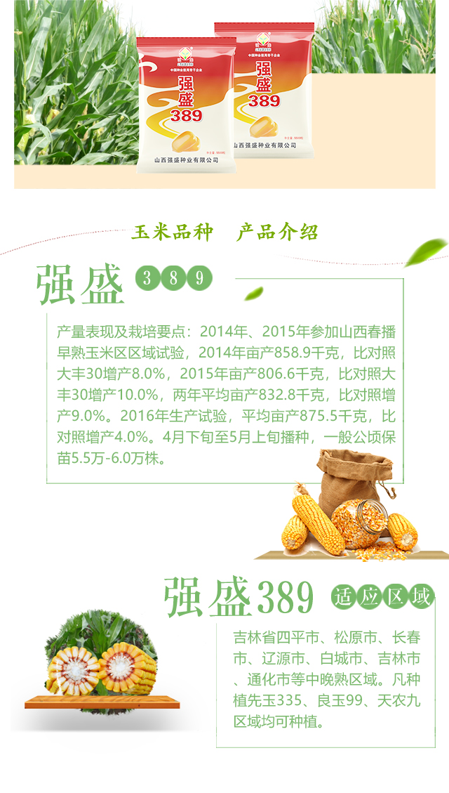 强盛389_02.jpg