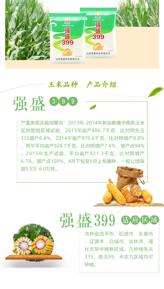 强盛399_02.jpg