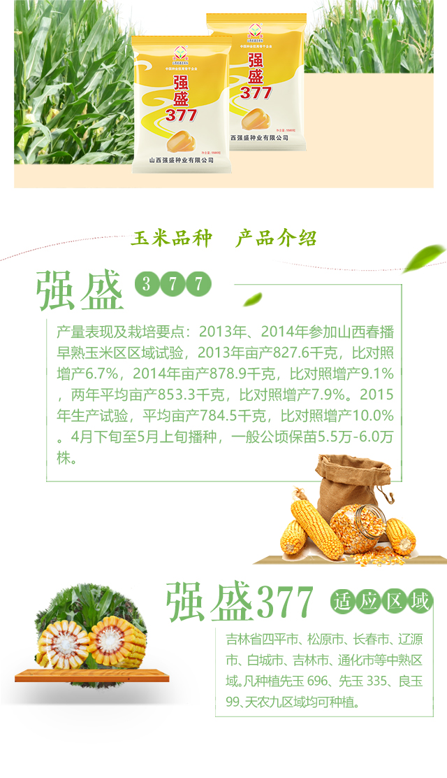 强盛377_02.jpg
