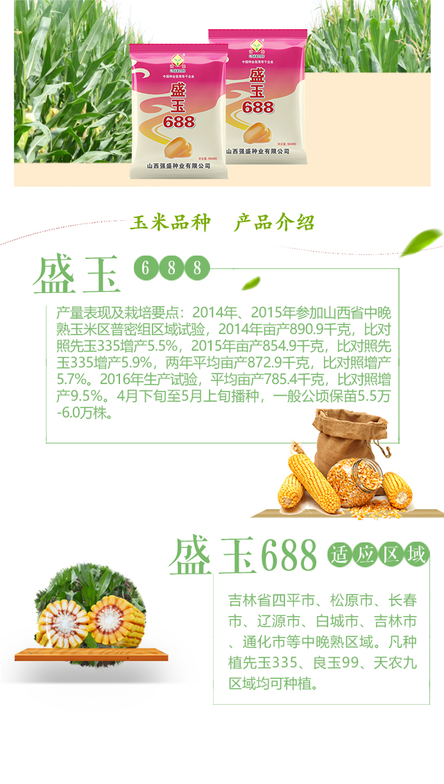 盛玉688_02.jpg