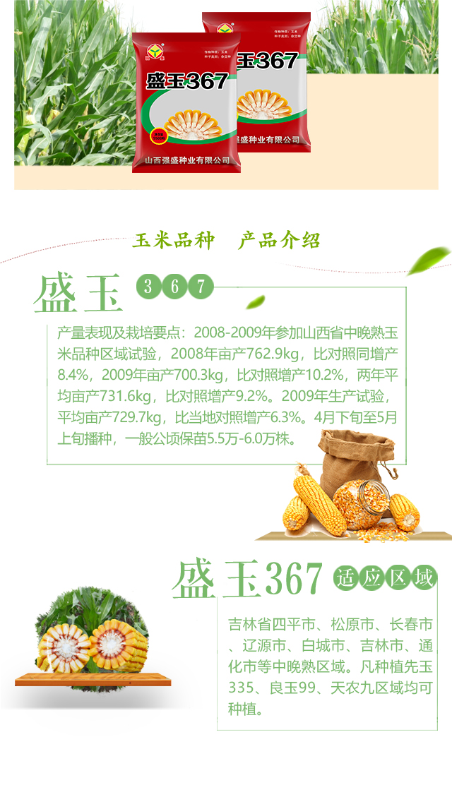 盛玉367_02.jpg